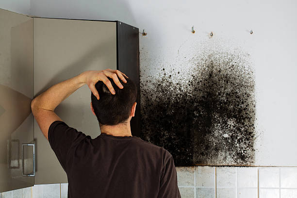 Best Certified Mold Removal  in Victoria, TX